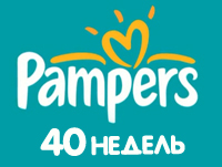 Pampers 40 недель