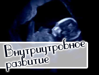 Внутриутробное развитие ребёнка